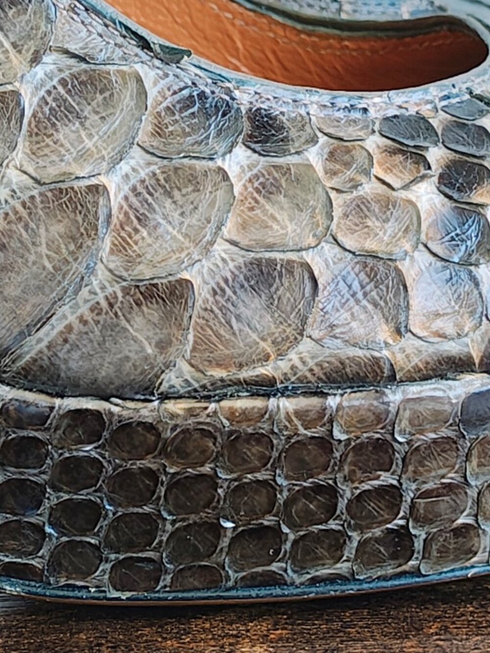 GUCCI Python Platform Pumps - Picture 11 of 15